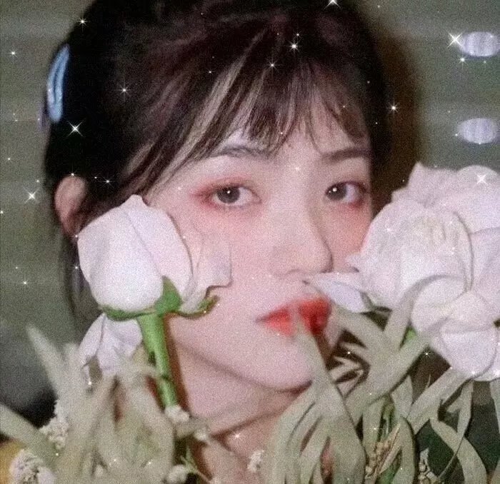 爱的权利封面